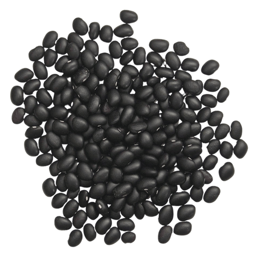 Black Turtle Beans, Bulk (Organic)