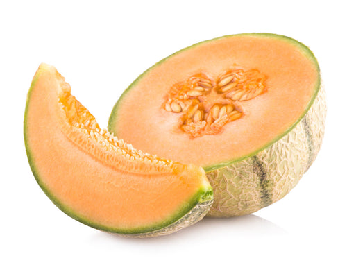 Cantaloupe Melon