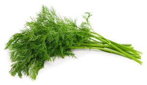 Dill, Fresh (Local)